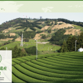 世界農業遺産 静岡の茶草場農法（しずおかのちゃぐさばのうほう）